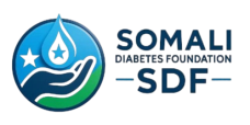 sdf logo horozontal removebg preview 4 228x114